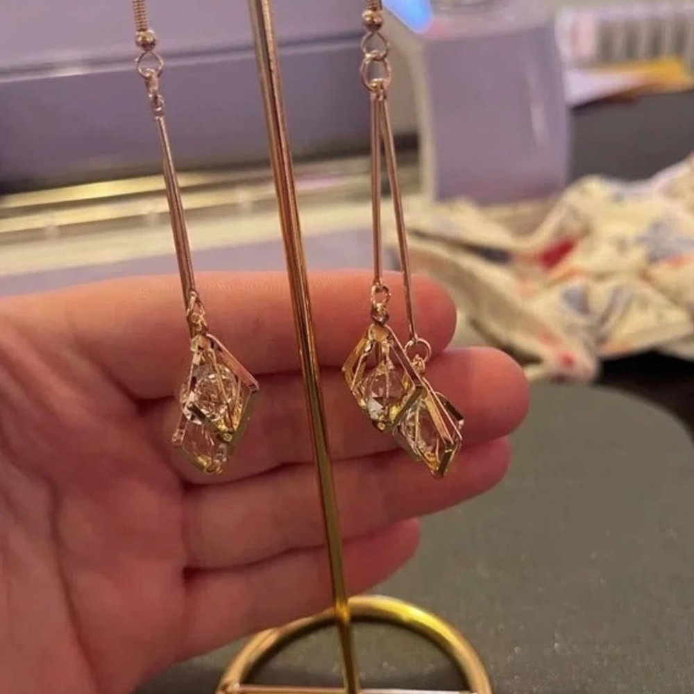 Long Dangle Earrings